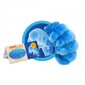 GIANTMICROBES ORSO D'ACQUA Waterbear - Tardigrade