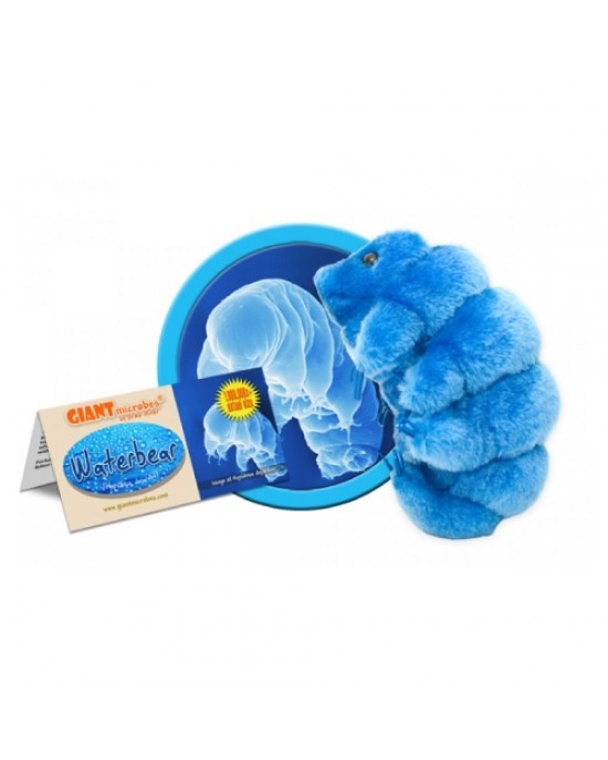 GIANTMICROBES ORSO D'ACQUA Waterbear - Tardigrade