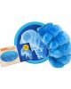 GIANTMICROBES ORSO D'ACQUA Waterbear - Tardigrade