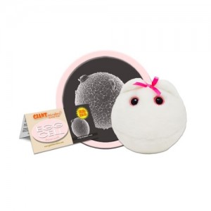 GIANTMICROBES OVULO Egg Cell