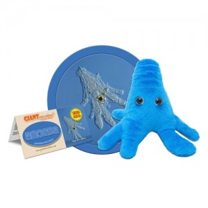 GIANTMICROBES PELUCHE AMEBA BLU Amoeba
