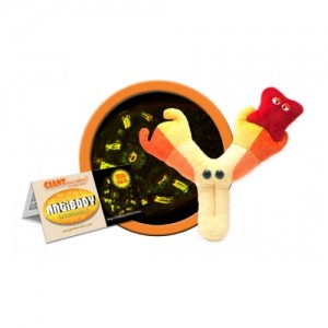 GIANTMICROBES PELUCHE ANTICORPO Antibody - Immunoglobulin