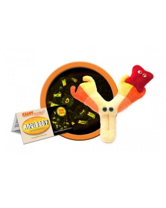 GIANTMICROBES PELUCHE ANTICORPO Antibody - Immunoglobulin