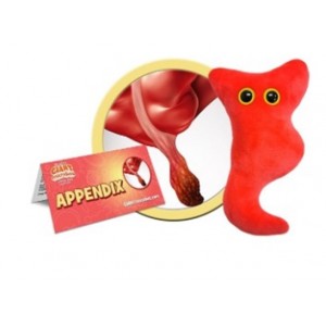 GIANTMICROBES PELUCHE APPENDICE Appendix