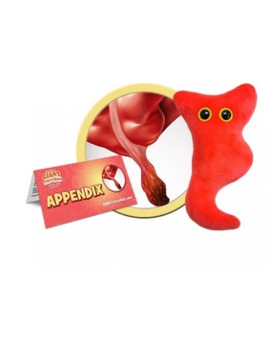 GIANTMICROBES PELUCHE APPENDICE Appendix