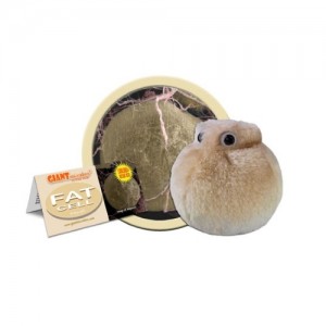 GIANTMICROBES PELUCHE CELLULA ADIPOSA Fat Cell