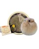 GIANTMICROBES PELUCHE CELLULA ADIPOSA Fat Cell