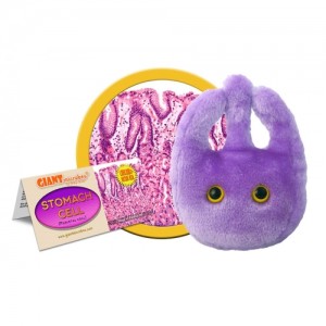 GIANTMICROBES PELUCHE CELLULA DELLO STOMACO Stomach Cell