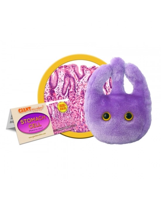 GIANTMICROBES PELUCHE CELLULA DELLO STOMACO Stomach Cell