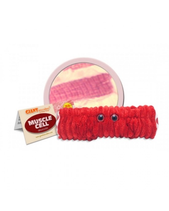 GIANTMICROBES PELUCHE CELLULA MUSCOLARE Muscle Cell