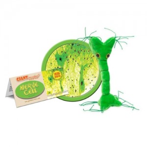 GIANTMICROBES PELUCHE CELLULA NERVOSA Nerve Cell 