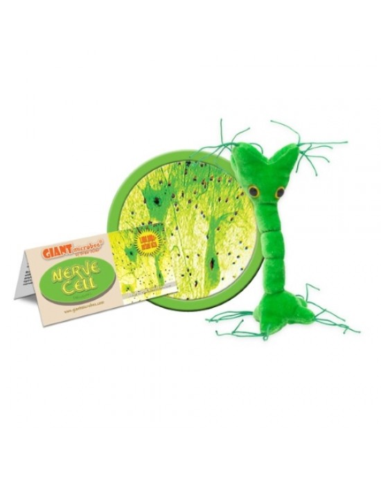GIANTMICROBES PELUCHE CELLULA NERVOSA Nerve Cell
