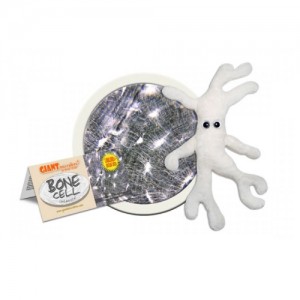 GIANTMICROBES PELUCHE CELLULA OSSEA Bone Cell