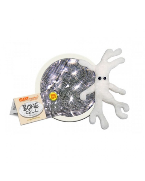 GIANTMICROBES PELUCHE CELLULA OSSEA Bone Cell