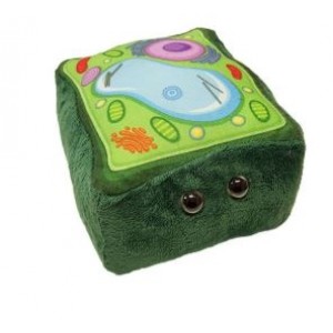 GIANTMICROBES PELUCHE CELLULA VEGETALE Plant Cell