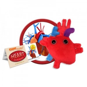 GIANTMICROBES PELUCHE CUORE Heart Organ