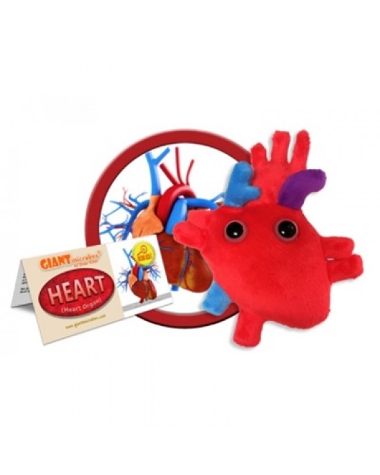 GIANTMICROBES PELUCHE CUORE Heart Organ