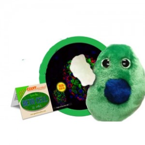 GIANTMICROBES PELUCHE DIABETE Insulin - Βeth Cell