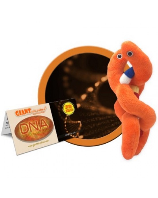 GIANTMICROBES PELUCHE DNA - Deoxyribonucleic Acid