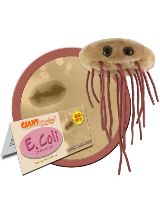 GIANTMICROBES PELUCHE E. COLI - Escherichia Coli