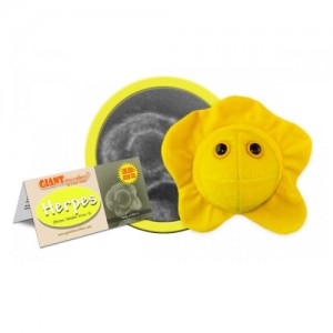 GIANTMICROBES PELUCHE ERPES - Herpes Simplex Virus 2