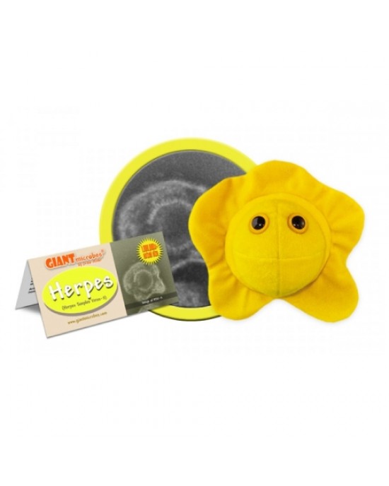 GIANTMICROBES PELUCHE ERPES - Herpes Simplex Virus 2