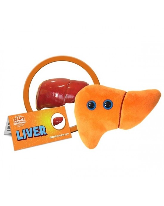 GIANTMICROBES PELUCHE FEGATO Liver