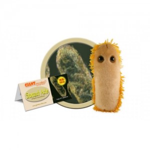 GIANTMICROBES PELUCHE MAL DI STOMACO Stomach Ache - Shigella