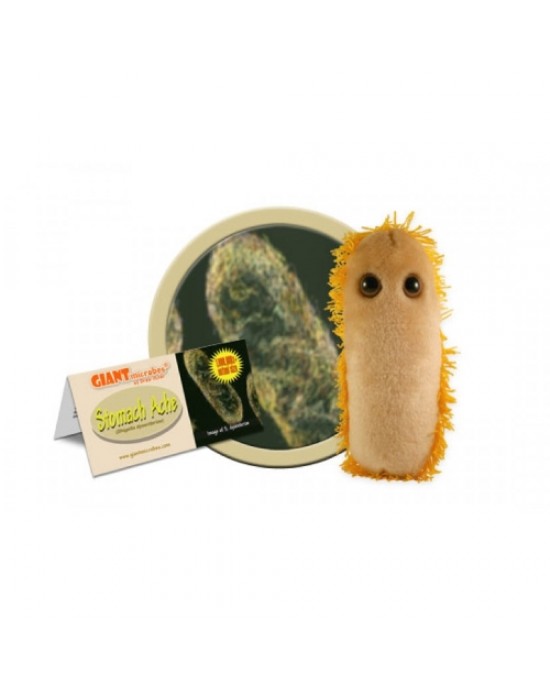 GIANTMICROBES PELUCHE MAL DI STOMACO Stomach Ache - Shigella