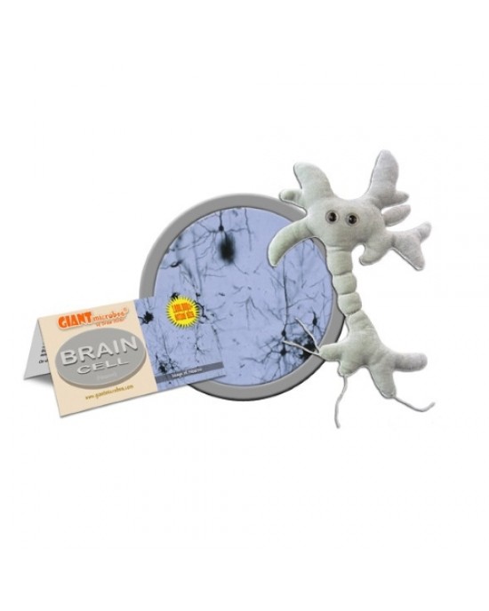 GIANTMICROBES PELUCHE NEURONE CELLULA CEREBRALE Brain Cell