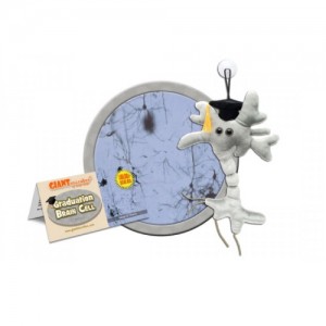 GIANTMICROBES PELUCHE NEURONE CELLULA CEREBRALE LAUREA