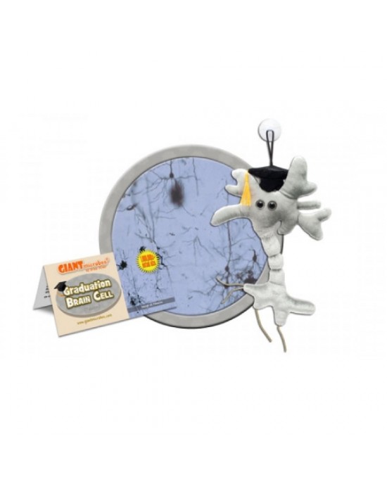 GIANTMICROBES PELUCHE NEURONE CELLULA CEREBRALE LAUREA