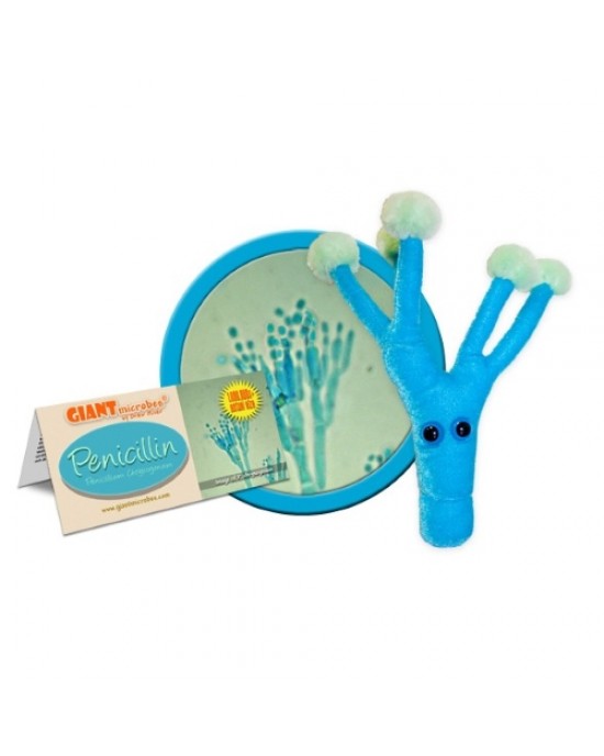 GIANTMICROBES  PELUCHE PENICILLINA - Penicillium Chrysogenum