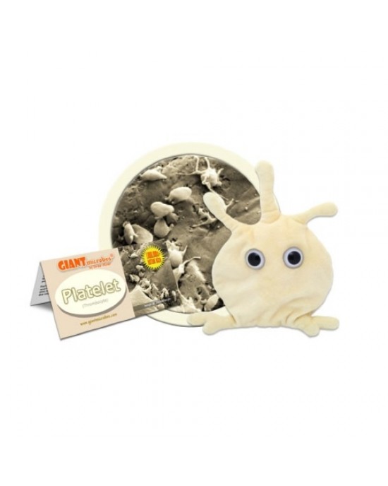 GIANTMICROBES PELUCHE PIASTRINA Platelet