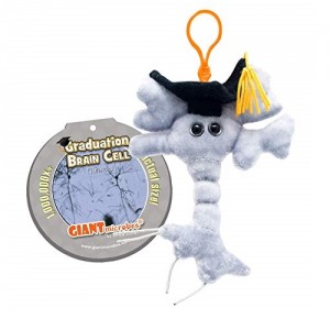 GIANTMICROBES PELUCHE PORTACHIAVI CELLULA CEREBRALE LAUREA Brain Cell graduate