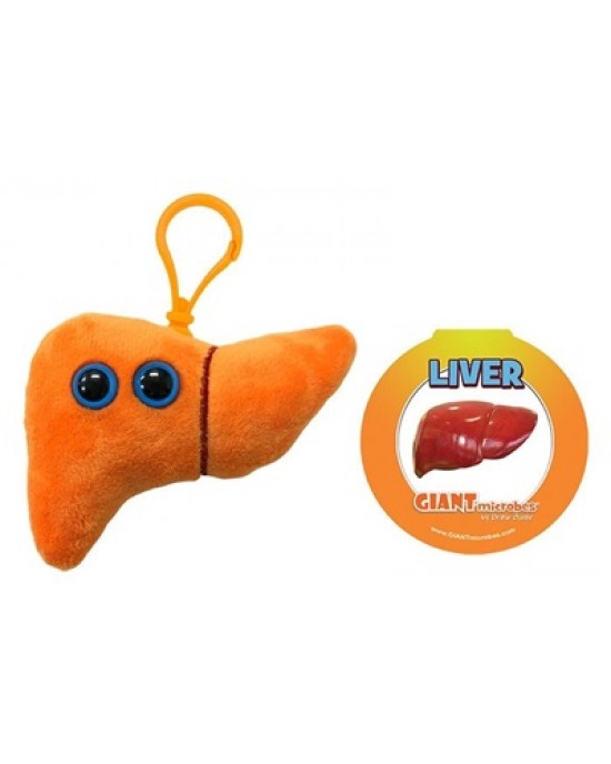 GIANTMICROBES PELUCHE PORTACHIAVI FEGATO Liver