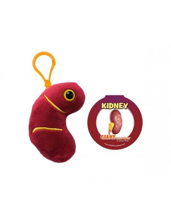 GIANTMICROBES PELUCHE PORTACHIAVI RENE Kidney