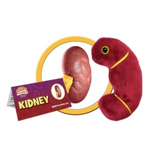 GIANTMICROBES PELUCHE RENE (kidney)