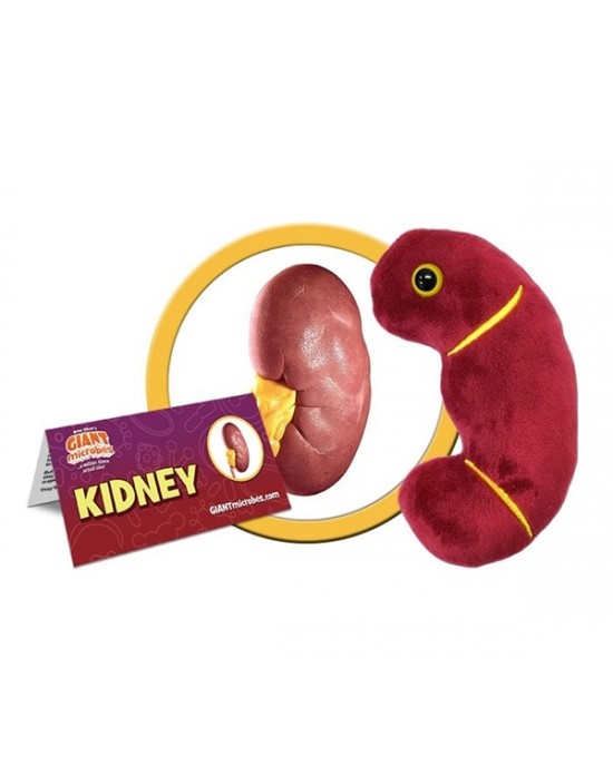 GIANTMICROBES PELUCHE RENE (kidney)