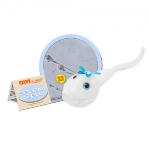 GIANTMICROBES PELUCHE SPERMATOZOO Sperm Cell
