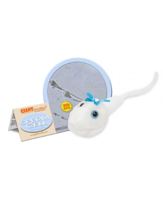 GIANTMICROBES PELUCHE SPERMATOZOO Sperm Cell