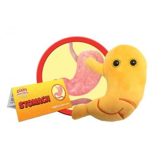 GIANTMICROBES PELUCHE STOMACO Stomach