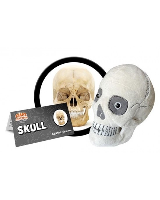 GIANTMICROBES PELUCHE TESCHIO Skull