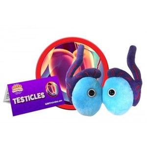 GIANTMICROBES PELUCHE TESTICOLI Testicles
