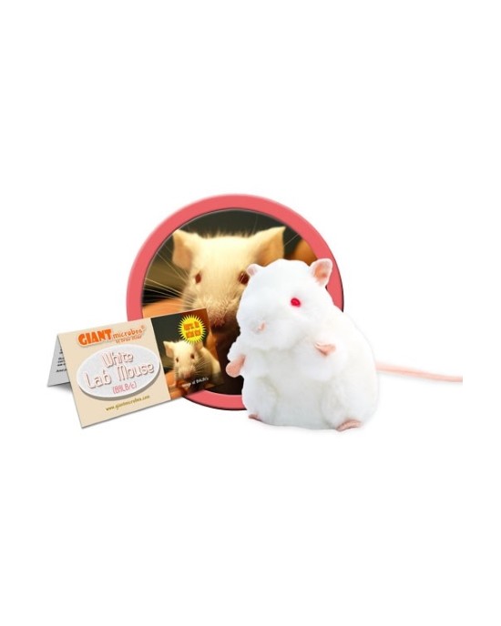 GIANTMICROBES PELUCHE TOPO BIANCO (CAVIA) White Lab Mouse