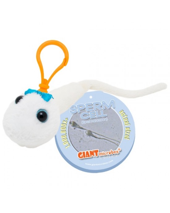 GIANTMICROBES PORTACHIAVI SPERMATOZOO