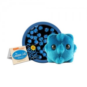 GIANTMICROBES RAFFREDDORE Common Cold Rhinovirus