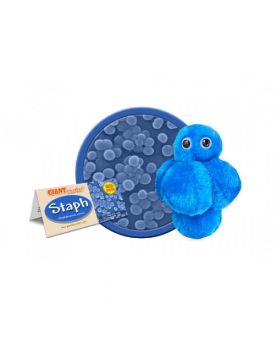 GIANTMICROBES STAFILOCOCCO Staph