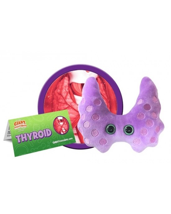 GIANTMICROBES TIROIDE Thyroid