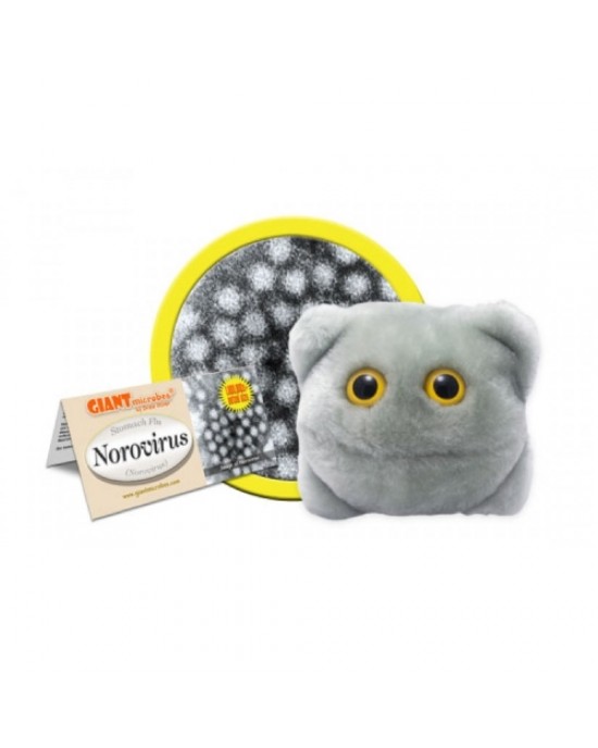 GIANTMICROBES VIRUS DI NORWALK Norovirus
